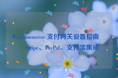 WooCommerce 支付網(wǎng)關(guān)設(shè)置指南，Stripe、PayPal、支付寶集成