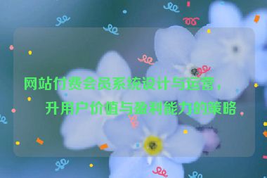網(wǎng)站付費會員系統(tǒng)設(shè)計與運營，提升用戶價值與盈利能力的策略