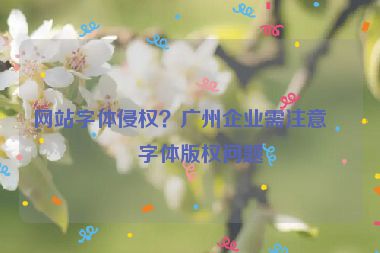 網(wǎng)站字體侵權(quán)？廣州企業(yè)需注意的字體版權(quán)問題
