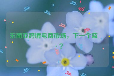 東南亞跨境電商市場，下一個藍(lán)海？