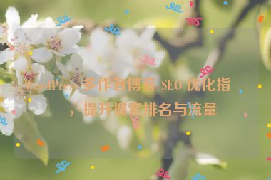 WordPress 多作者博客 SEO 優(yōu)化指南，提升搜索排名與流量