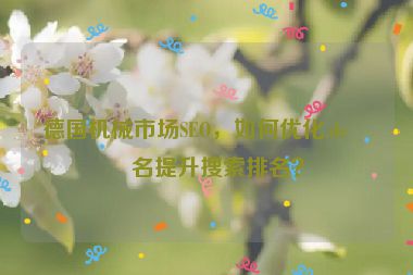 德國機械市場SEO，如何優(yōu)化.de域名提升搜索排名？