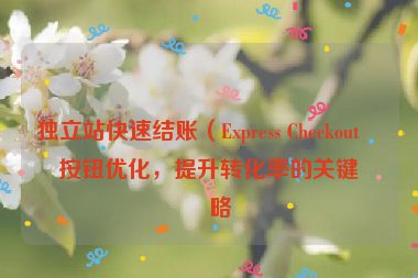 獨(dú)立站快速結(jié)賬（Express Checkout）按鈕優(yōu)化，提升轉(zhuǎn)化率的關(guān)鍵策略