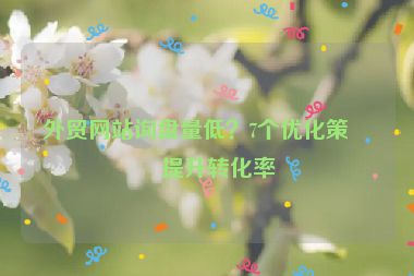 外貿(mào)網(wǎng)站詢盤(pán)量低？7個(gè)優(yōu)化策略提升轉(zhuǎn)化率
