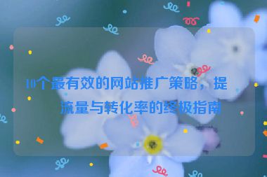 10個最有效的網(wǎng)站推廣策略，提升流量與轉(zhuǎn)化率的終極指南