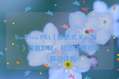 WordPress PWA（漸進(jìn)式 Web 應(yīng)用）設(shè)置教程，打造快速可靠的移動體驗(yàn)