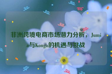 非洲跨境電商市場潛力分析，Jumia與Konga的機(jī)遇與挑戰(zhàn)