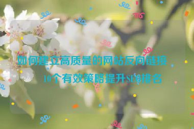 如何建立高質(zhì)量的網(wǎng)站反向鏈接？10個(gè)有效策略提升SEO排名