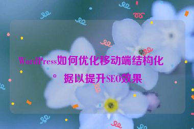 WordPress如何優(yōu)化移動端結(jié)構(gòu)化數(shù)據(jù)以提升SEO效果