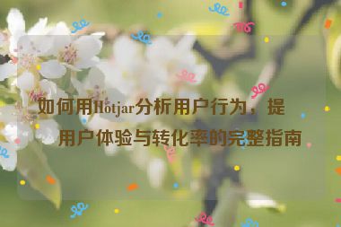 如何用Hotjar分析用戶行為，提升用戶體驗(yàn)與轉(zhuǎn)化率的完整指南