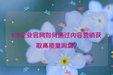 B2B企業(yè)官網(wǎng)如何通過內(nèi)容營銷獲取高質(zhì)量詢盤？