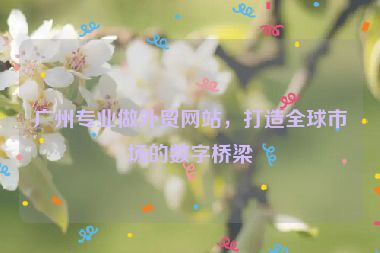 廣州專業(yè)做外貿(mào)網(wǎng)站，打造全球市場(chǎng)的數(shù)字橋梁