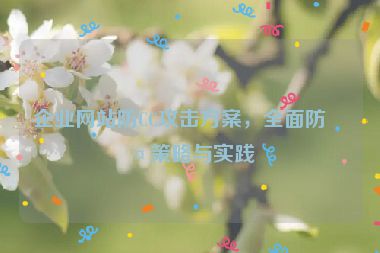 企業(yè)網(wǎng)站防CC攻擊方案，全面防護(hù)策略與實(shí)踐