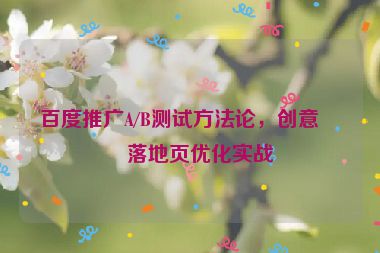 百度推廣A/B測試方法論，創(chuàng)意、落地頁優(yōu)化實戰(zhàn)