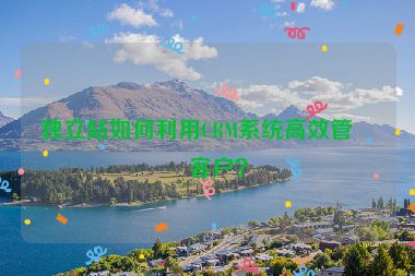 獨(dú)立站如何利用CRM系統(tǒng)高效管理客戶(hù)？