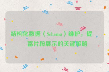 結(jié)構(gòu)化數(shù)據(jù)（Schema）維護(hù)，提升富片段展示的關(guān)鍵策略
