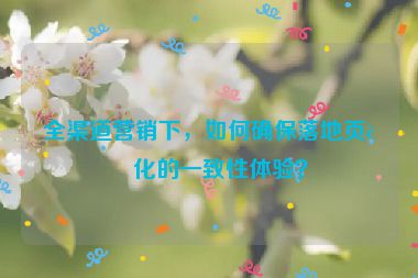 全渠道營銷下，如何確保落地頁轉(zhuǎn)化的一致性體驗(yàn)？