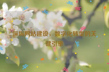 深圳網(wǎng)站建設(shè)，數(shù)字化轉(zhuǎn)型的關(guān)鍵引擎