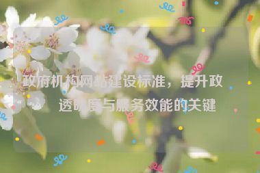 政府機(jī)構(gòu)網(wǎng)站建設(shè)標(biāo)準(zhǔn)，提升政務(wù)透明度與服務(wù)效能的關(guān)鍵