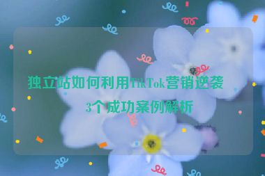 獨立站如何利用TikTok營銷逆襲？3個成功案例解析