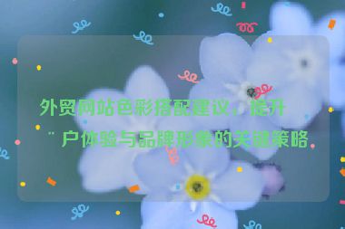 外貿(mào)網(wǎng)站色彩搭配建議，提升用戶體驗(yàn)與品牌形象的關(guān)鍵策略