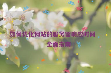 如何優(yōu)化網(wǎng)站的服務(wù)器響應(yīng)時(shí)間，全面指南