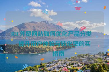 B2C外貿(mào)網(wǎng)站如何優(yōu)化產(chǎn)品分類(lèi)？提升用戶(hù)體驗(yàn)與轉(zhuǎn)化率的實(shí)用指南