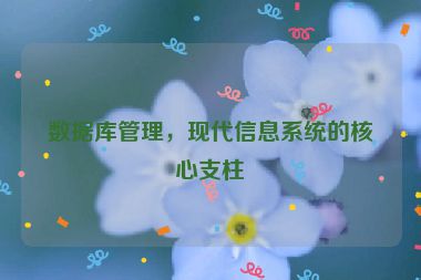 數(shù)據(jù)庫管理，現(xiàn)代信息系統(tǒng)的核心支柱
