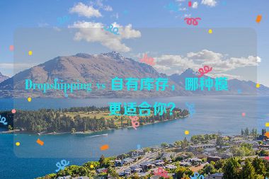 Dropshipping vs 自有庫存，哪種模式更適合你？
