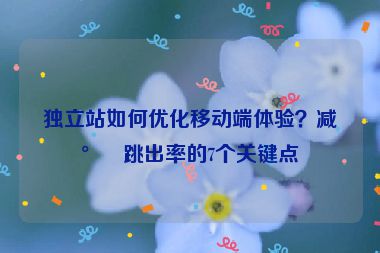 獨立站如何優(yōu)化移動端體驗？減少跳出率的7個關(guān)鍵點