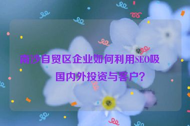 南沙自貿(mào)區(qū)企業(yè)如何利用SEO吸引國內(nèi)外投資與客戶？