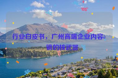 行業(yè)白皮書，廣州高端企業(yè)內(nèi)容營銷的核武器