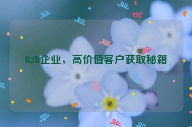 B2B企業(yè)，高價值客戶獲取秘籍