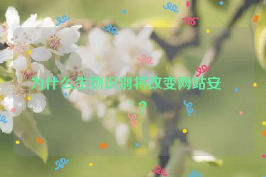 為什么生物識別將改變網(wǎng)站安全？