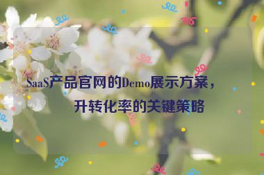 SaaS產(chǎn)品官網(wǎng)的Demo展示方案，提升轉(zhuǎn)化率的關(guān)鍵策略