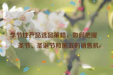 季節(jié)性產(chǎn)品選品策略，如何把握萬圣節(jié)、圣誕節(jié)和黑五的銷售機(jī)遇