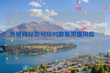 外貿(mào)網(wǎng)站如何應(yīng)對數(shù)據(jù)泄露風(fēng)險？