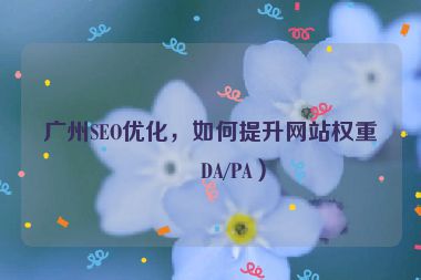 廣州SEO優(yōu)化，如何提升網(wǎng)站權(quán)重（DA/PA）