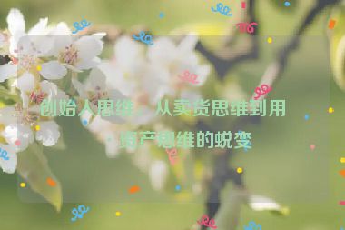 創(chuàng)始人思維，從賣貨思維到用戶資產(chǎn)思維的蛻變