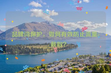 品牌詞保護(hù)，如何有效防止流量被截??？