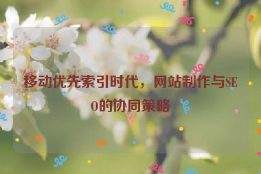 移動優(yōu)先索引時代，網(wǎng)站制作與SEO的協(xié)同策略