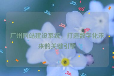 廣州網(wǎng)站建設(shè)系統(tǒng)，打造數(shù)字化未來(lái)的關(guān)鍵引擎