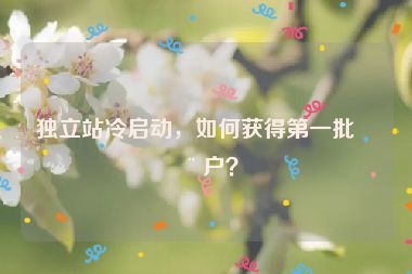 獨立站冷啟動，如何獲得第一批用戶？