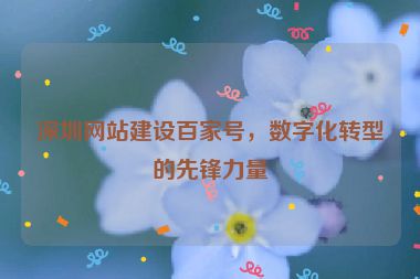 深圳網(wǎng)站建設(shè)百家號，數(shù)字化轉(zhuǎn)型的先鋒力量