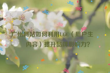 廣州網(wǎng)站如何利用UGC（用戶生成內(nèi)容）提升品牌影響力？