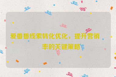 愛番番線索轉(zhuǎn)化優(yōu)化，提升營銷效率的關鍵策略
