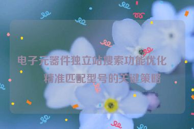 電子元器件獨立站搜索功能優(yōu)化，精準匹配型號的關鍵策略