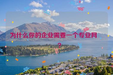 為什么你的企業(yè)需要一個專業(yè)網(wǎng)站？