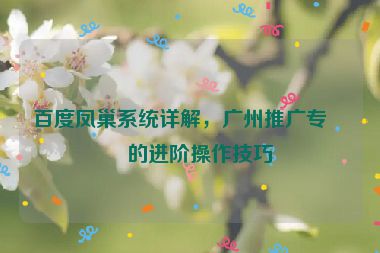 百度鳳巢系統(tǒng)詳解，廣州推廣專員的進(jìn)階操作技巧
