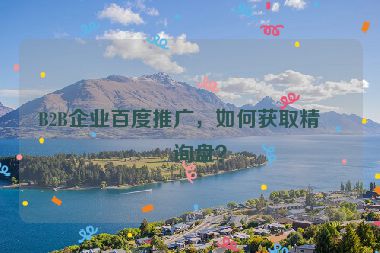B2B企業(yè)百度推廣，如何獲取精準詢盤？
